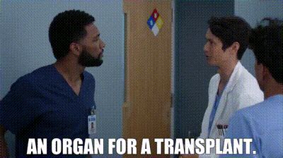 YARN An Organ For A Transplant Grey S Anatomy 2005 S19E01