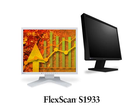 FlexScan S1933 EIZO