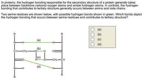 In Proteins, The Hydrogen Bonding Responsible For ... | Chegg.com