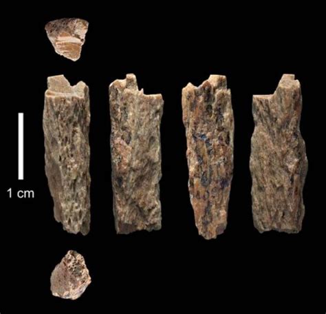 First Ever Skull Fragments of Denisovans Have Been Confirmed Found in ...