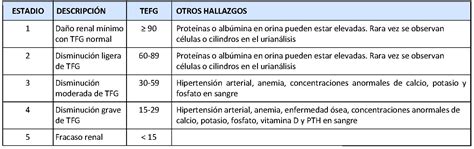 Formula Indice De Filtracion Glomerular Printable Templates Free