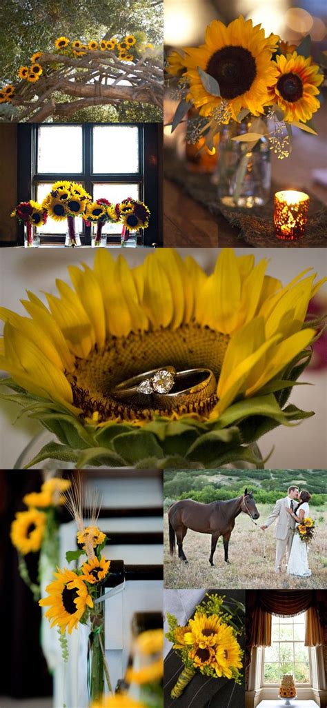 39 Sunflower Wedding Ideas And Wedding Decorations Chicwedd