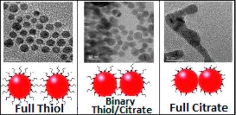 Control Of Primary Particle Spacing In Gold Nanoparticle Clusters For