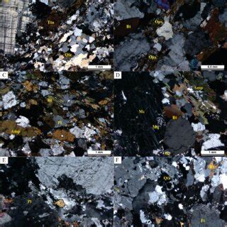 Thin Section Microphotographs Of Representative Petrographic Features