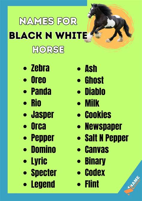 150+ Black and White Horse Names (With Meaning)