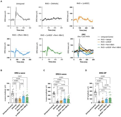 Frontiers Caspase 9 Inhibition Confers Stronger Neuronal And Vascular