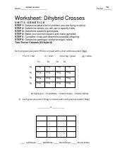 Dihybrid Cross Ws Docx Name Period Worksheet Dihybrid Crosses