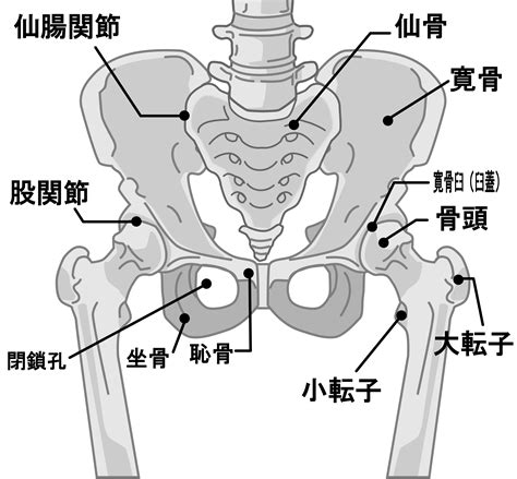 人工股関節全置換術の手術方法 世田谷人工関節・脊椎クリニック