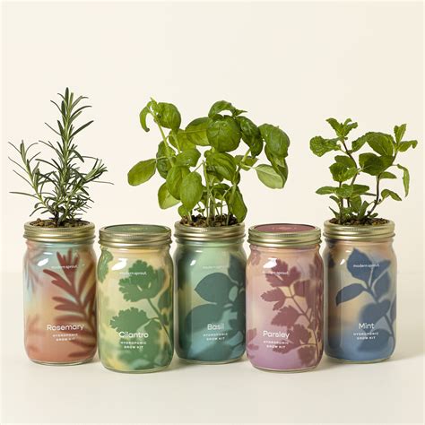 Mason Jar Indoor Herb Garden | Grow Your Own Herbs | UncommonGoods