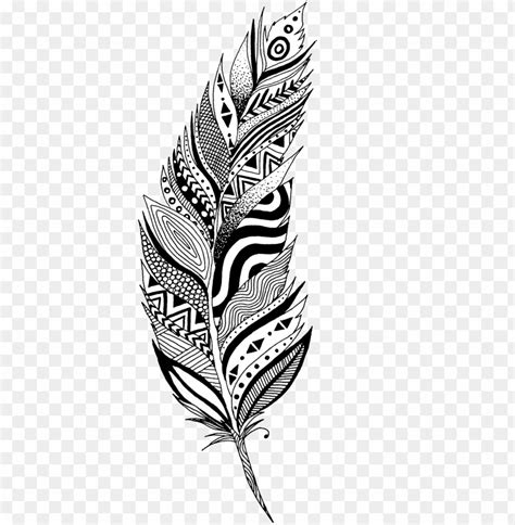 Feather By Lmushrimp-d915me5 - Black And White Feather Clipart PNG ...