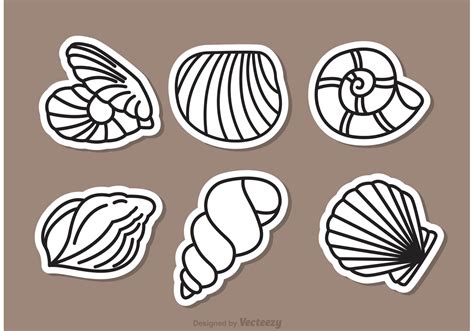 Sea Shell Outline Icons Vector Vector Art At Vecteezy