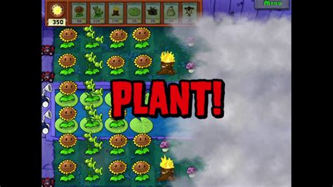 Plant Fight Zombies Survival Fog Hard Youtube