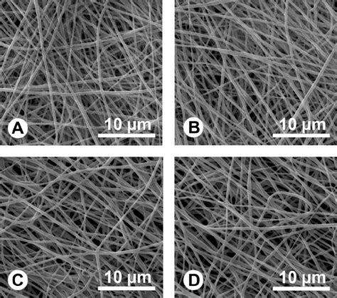 Scanning Electron Microscopy SEM Images Of Electrospun Fibers Of