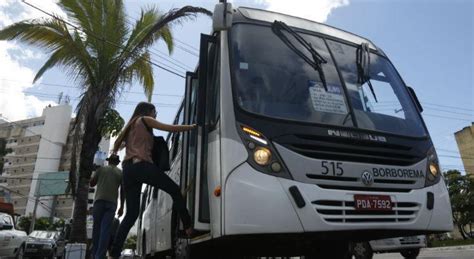 Confira as linhas de ônibus do Recife que vão ter ar condicionado