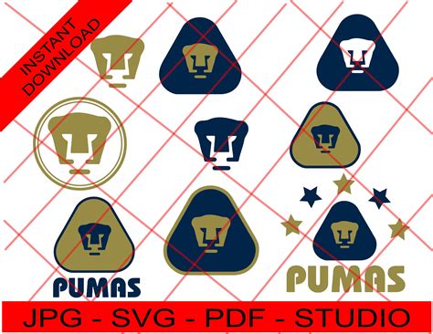 Pumas Team