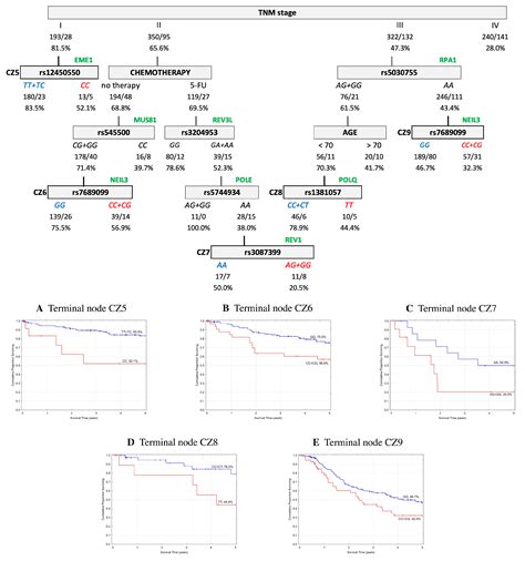 Functional Polymorphisms In Dna Repair Genes Are Associated With