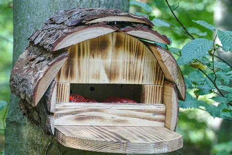 Vogelhaus Nistkasten selber bauen ᐅ einfache Anleitung Ideen