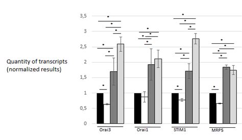 Gene Expression Analysisorai Orai Stim And Abcc Mrp Protein