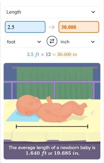 Flexi answers - How many inches are in 2 1/2 feet? | CK-12 Foundation