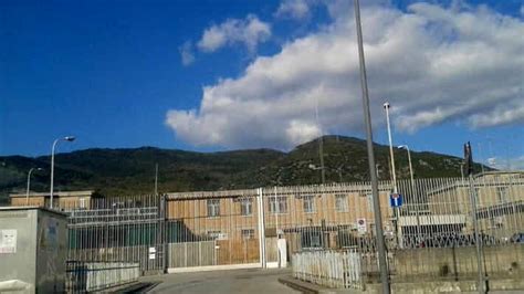 Carcere Di Salerno Spuntano Le Dirette Dei Detenuti Su Tik Tok