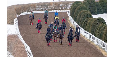 社台ファーム 東礼治郎場長インタビュー｜2歳馬牧場リポート2023春｜競馬情報ならjra Van