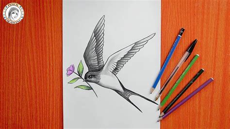 How To Draw A Bird رسم طائر رسم عصفور Youtube