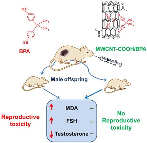 Ijms Free Full Text Adsorption Of Bisphenol A To A Carbon Nanotube