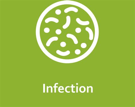 Iwgdfidsa Infection Guideline 2023 Update Iwgdf Guidelines