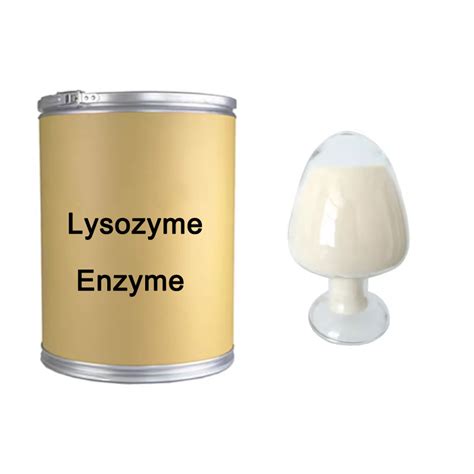 Supply Lysozyme From Egg White Enzyme Lysozyme Powder China Lysozyme