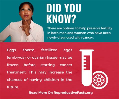 Female Cancers And Fertility Patient Education Fact Sheet