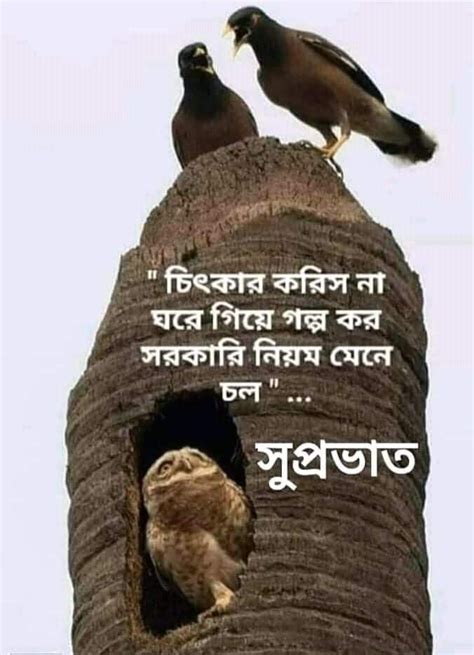 Pin On Bengali Good Morning Wishes Good Morning Inspirational Quotes