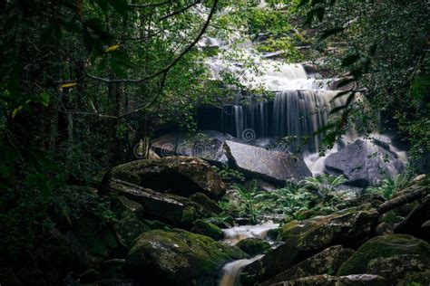 Natural Scene Of Waterfall Inside Tropical Rainforest After Rainfall