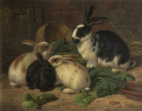 Rabbit Oil Painting At Explore Collection Of Rabbit Oil Painting