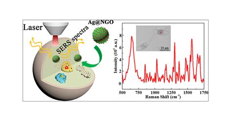 Surfactant Free Synthesis Of Graphene Oxide Coated Silver Nanoparticles