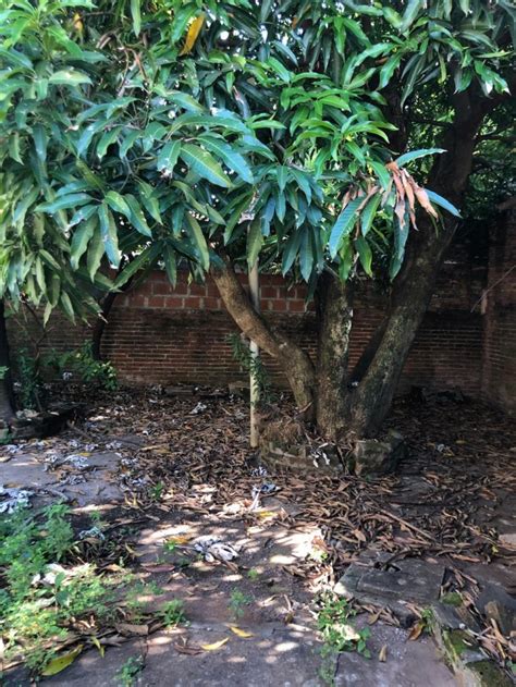 Terreno En Venta Z Lavalle E Hipolito Irigoyen