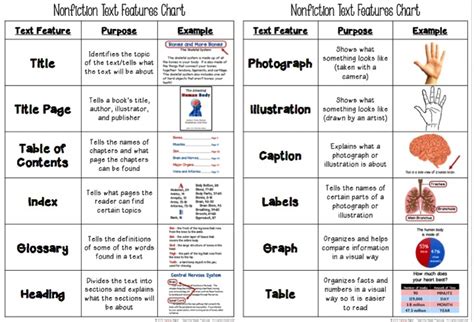 Text Features Definition First Grade