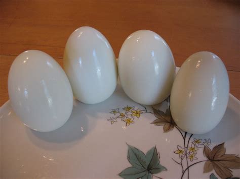 Hard Boiled Goose Eggs Nonelvis Flickr