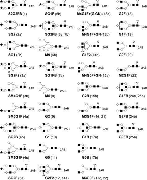 Proposed Structures Of 2ab Labeled N Glycans From Human Serum Igg The