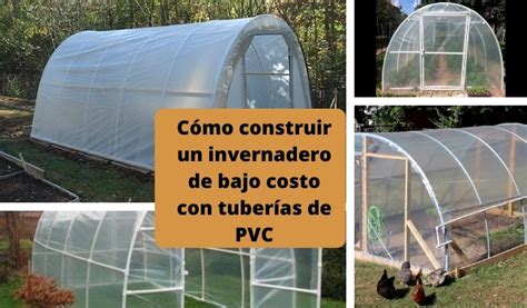 Cómo construir un invernadero con tuberías de PVC Wiki Agronomia