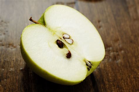 Semillas tóxicas y venenosas estas son las frutas que las contienen