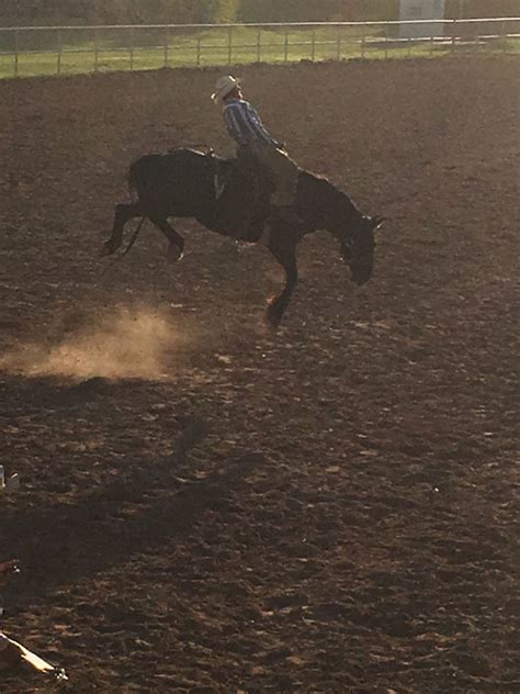 2016 Xit Ranch Rodeo Results Working Ranch Cowboys Association