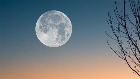 New Moon April 2023 - Aries Moon arrives just in time…