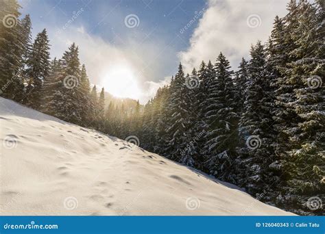 Bright High Alpine Winter Scenery, with Fresh Snow and Mist, in the ...