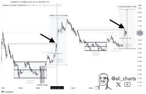 Cardano Ada Eyes Whales Fuel Bullish Momentum For Massive Surge