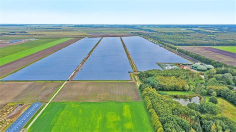 Chint Solar Completes 3 Solar Parks: Northern Netherlands Welcomes 152 MW Solar Panels – PVTIME