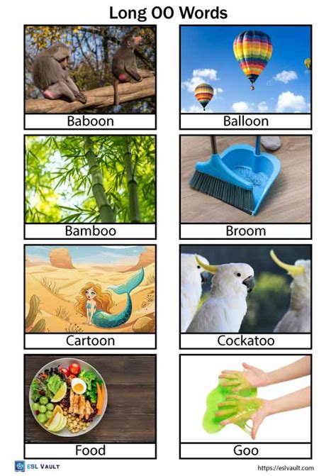 Free Long Oo Words List And Pictures Pdf Esl Vault