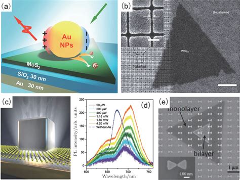 Lightmatter Interaction Of 2d Materials Physics And Device Applications