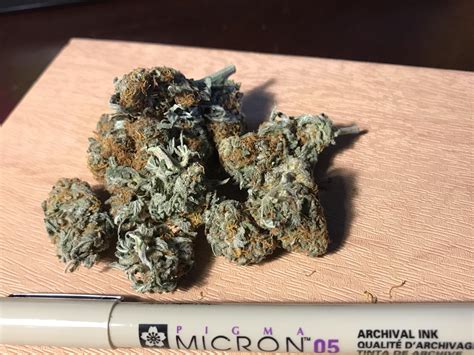 Is this PGR or not? Not much out there in Melbourne : r/ausents