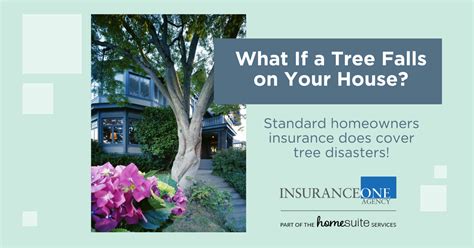 What If A Tree Falls On Your House — Homesuite