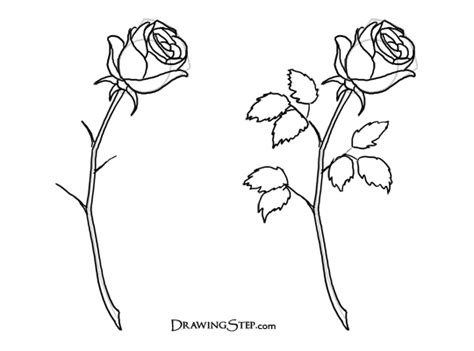 Free Rose Drawing Outline, Download Free Rose Drawing Outline png ...